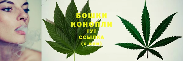 гидропоника Няндома