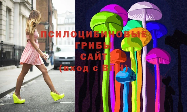 гидропоника Няндома