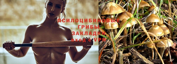 гидропоника Няндома