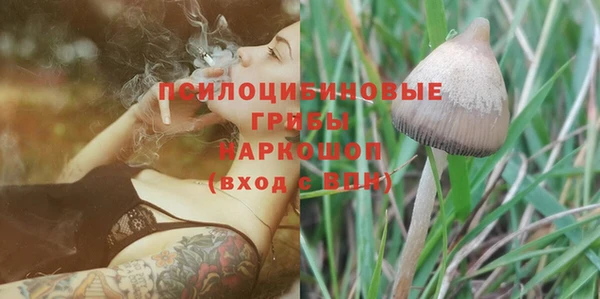 хмурый Куйбышев